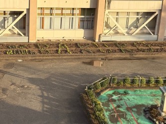 2025.12.8　あったかハートぽかぽか花壇～秋冬苗に衣装替え～